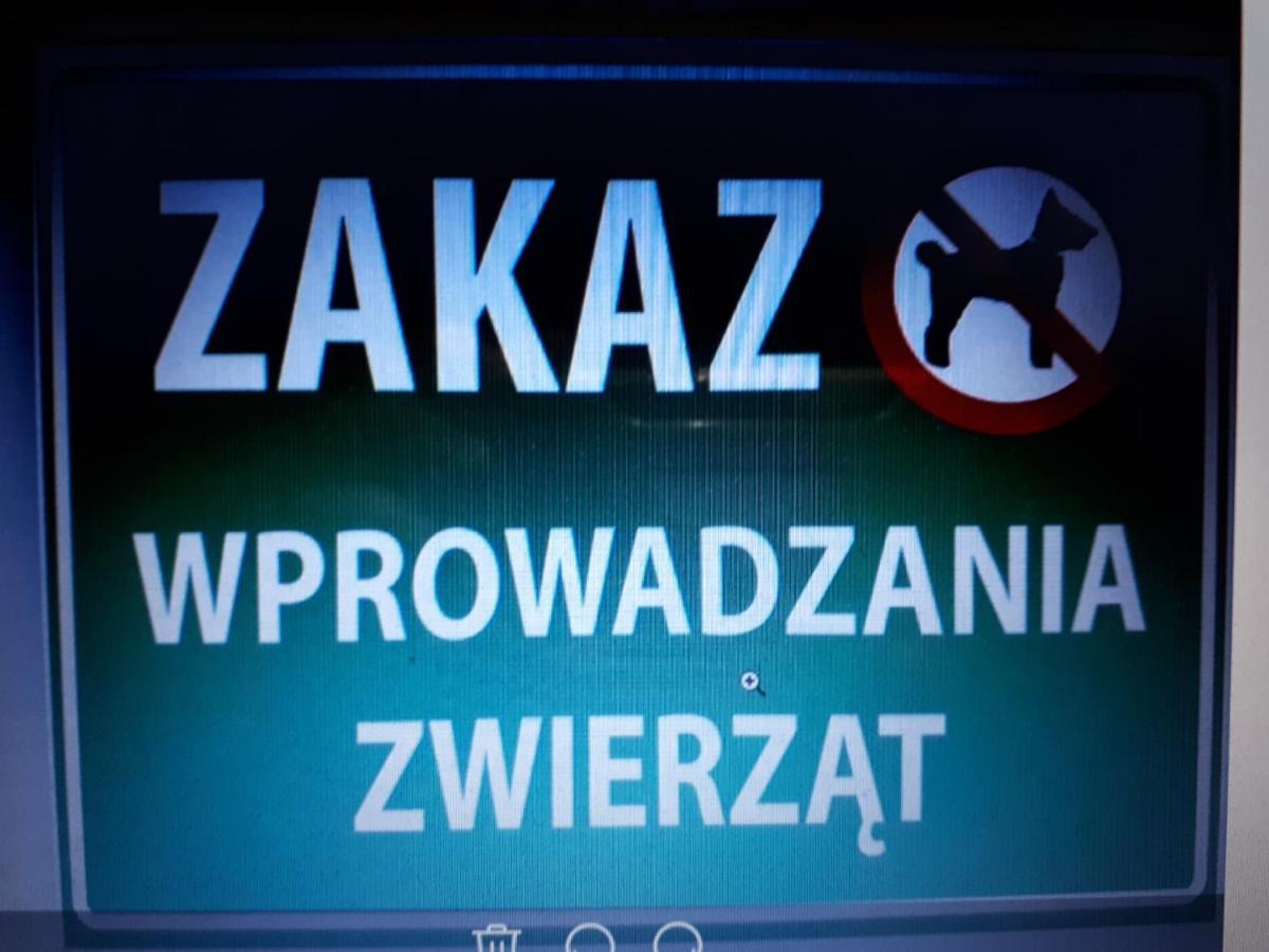 Апартаменты Glogow Przy Grodzkiej Экстерьер фото